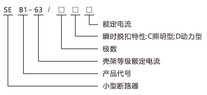 SEB1-63小型斷路器產(chǎn)品命名規(guī)則.jpg